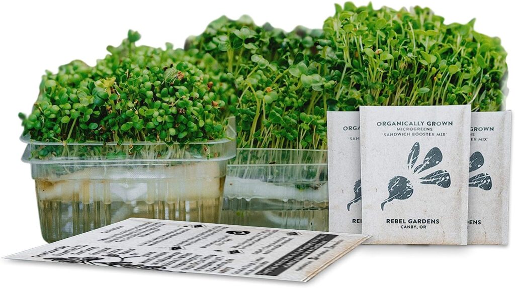 Rebel gardens Self-watering Microgreens grow kit