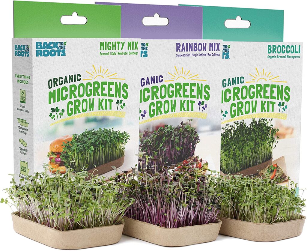 Back to Roots DIY Microgreens Grow Kit