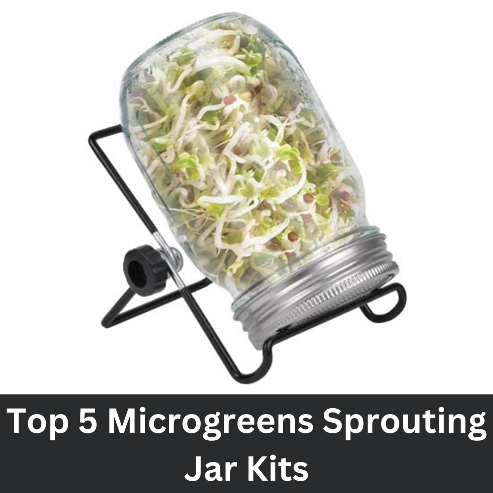 Microgreens Sprouting Jar Kit