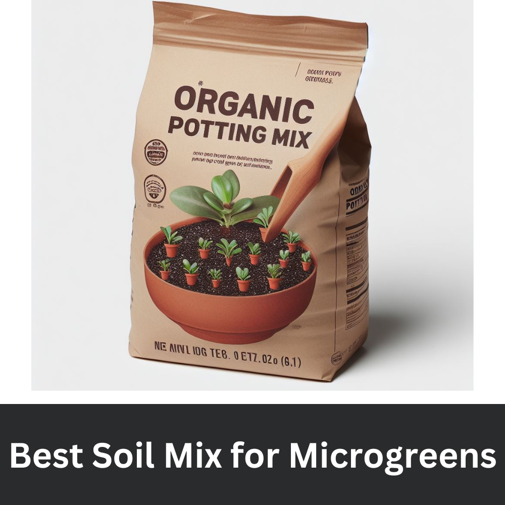 Best Soil Mix for Microgreens
